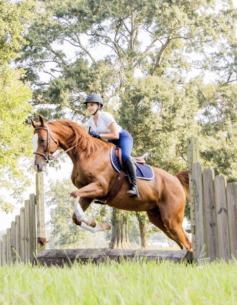 51000bc6-342b-478f-ae95-193dd729a0f7