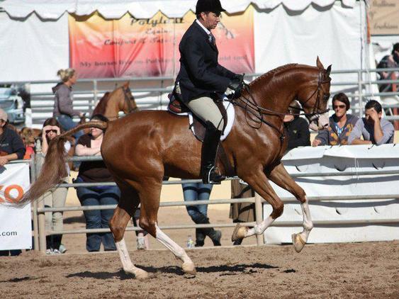 5550469a-6c7c-4408-9f67-feaf0a6d4483