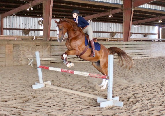 707d88ba-b6b5-4d0b-acaf-2139e5356baf