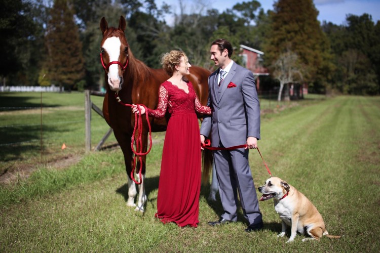 8e7181d8-9f1e-48b6-b012-6b02ce622d7a