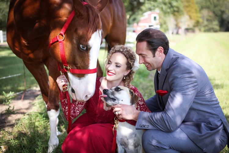 99eb3694-ed5f-4d53-bd1f-a2d6064cb95e